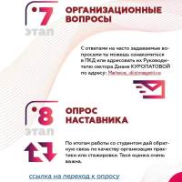 pam-nast_2-7