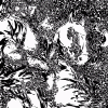 mash_15